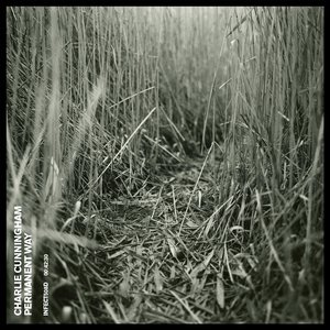 免费看AAAAAAAAAAAA片
