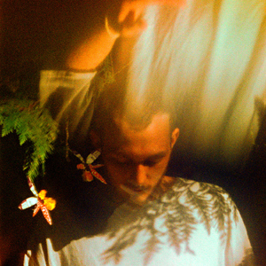 免费看AAAAAAAAAAAA片
